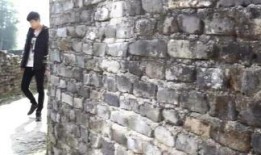 国产农村三级,国产农村三级发展掠影